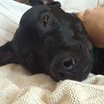 Profile Picture of Brent E Denny (@brent.e.denny) on Instagram