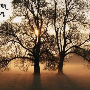 Alvin Chevalier - Myspace Profile Picture of Alvin Chevalier (@362632763) on Myspace