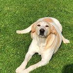 Profile Picture of Marc-Antoine Parmentier (@marco030910) on Instagram