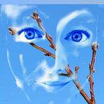 Profile Picture of Caroline Söderblom Jarefjäll (@garden_bycaroline) on Instagram