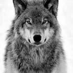 Profile Picture of Enes Şahan (@Enes-Şahan) on Facebook