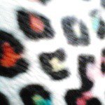 Profile Picture of paige wittman (@farmgirlpcw) on Instagram