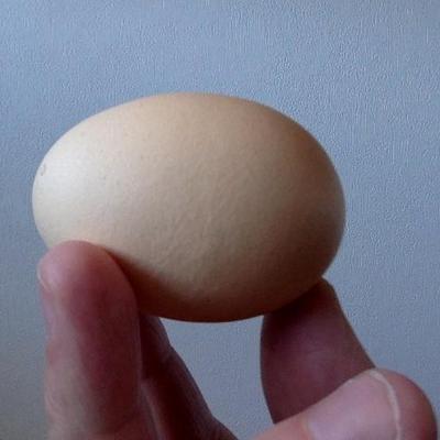 Profile Picture of Brett Tompkins (@BrettTompkins) on Twitter