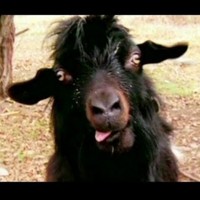 Profile Picture of Robert Breen (@robert-breen-3) on Quora