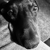 Profile Picture of Patrick Wenzel (@Brigade_General) on Youtube