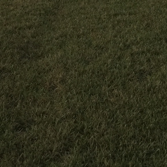 Zachary Rodriguez - Poshmark Profile Picture of Zachary Rodriguez (@zacharyrdz) on Poshmark