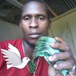 Profile Picture of Raymond Semple (@raymondsemple146) on Instagram