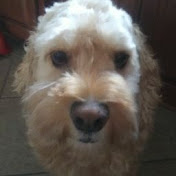 Profile Picture of Lily Osborne (@lilyosborne9416) on Youtube