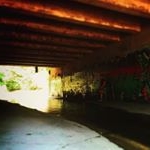 Profile Picture of Thomas (@thomas.birk) on Instagram