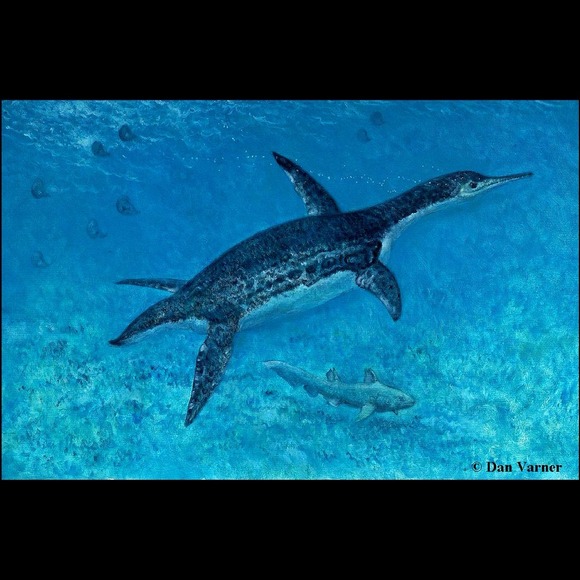 Profile Picture of Luz Ceniceros (@dinosaurboy) on Poshmark