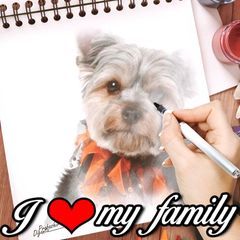 Profile Picture of Nancy Falker (@nancyfalker) on Tiktok