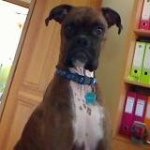 Profile Picture of Andrew Kozlowski (@kozmotron3030) on Instagram