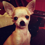 Vanina Doneva - Flickr Profile Picture of Vanina Doneva (@vaninadoneva) on Flickr