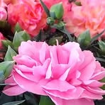 Profile Picture of Perry Barrett (@Perry-Barrett) on Facebook