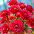 Profile Picture of Jaan Shaihk (@jaan.shaihk.2025) on Facebook