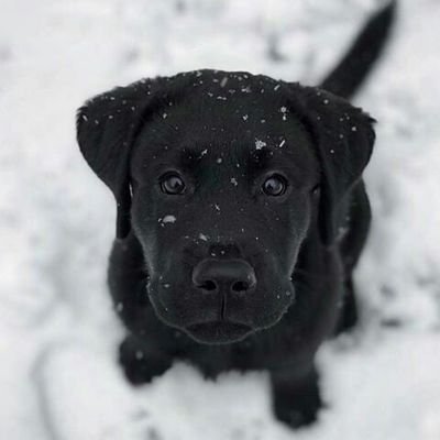 Profile Picture of Manuel Balderas ♥ (@ManuelB84413579) on Twitter