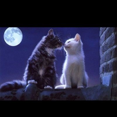 Profile Picture of Michael Désire (@MichaelDsire1) on Twitter