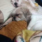 Profile Picture of Daniel Cortina (@daniel.cortina.7902) on Facebook