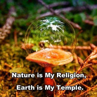 Profile Picture of Jeremy Elder (@JeJeremy75) on Twitter