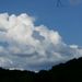 Profile Picture of jeff hasty (@jeffhasty) on Pinterest