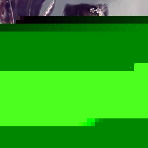 Profile Picture of Tonya Wooster (@livingdeadgirl32) on Myspace