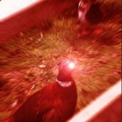 Profile Picture of Zak Willoughby (@MonochromeRobin) on Twitter