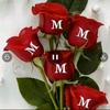 Profile Picture of Mahbubul Alam (@mahbubulalam875) on Tiktok
