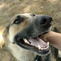 Profile Picture of Ladonna Cooper (@ladonna-cooper-14) on Quora