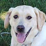 Profile Picture of Andrew Kaczmarek (@andrew.kaczmarek.1) on Facebook