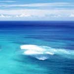 Profile Picture of HEINRICH (@heinrichr) on Instagram