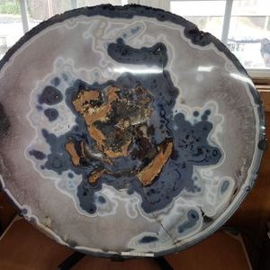 Profile Picture of MAGA Gram (@ShellyP86762566) on Twitter