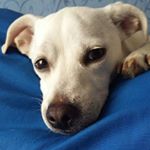 norma ibarra - Instagram Profile Picture of norma ibarra (@norma.ibarra10) on Instagram