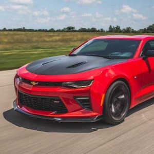 davidwoelk7 - Tiktok Profile Picture of davidwoelk7 (@davidwoelk7) on Tiktok