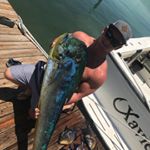 Profile Picture of Brandon Bechtel (@brandon_bechtel) on Instagram