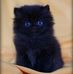 Profile Picture of Jerry Saimoni (@jerry.saimoni) on Facebook
