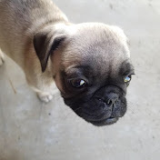 Profile Picture of Steven Whitley (@StevenIW) on Youtube