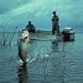 Profile Picture of Sean Laskey (@laskeytown) on Pinterest