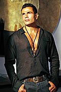 Profile Picture of Amr Diab discographyon Wikipedia