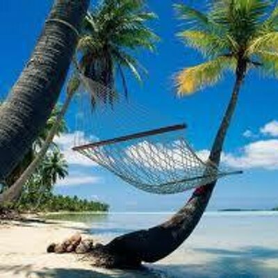 Profile Picture of Jared Pena (@JaredPena) on Twitter