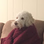 Profile Picture of Jesse Thornton (@@jjtthhoo) on Tiktok
