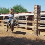 Profile Picture of Guillermo Carbajal de Loera (@carbajalguillermo) on Instagram