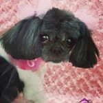 Profile Picture of Leigh Gill (@leighannrules) on Instagram