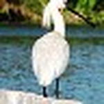 Profile Picture of Gaurav Varshney (@gaurav varshney) on Flickr