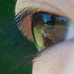 Profile Picture of Trung-phuc Vo (@trung-phuc eric vo) on Flickr