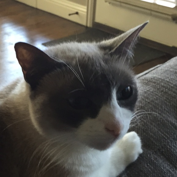 Dylan Odelein - Poshmark Profile Picture of Dylan Odelein (@dto) on Poshmark