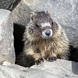 Profile Picture of Lori Carruthers-Klassen (@loriklassen) on Instagram