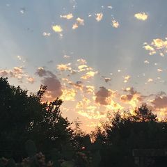 Profile Picture of richardspeel (@richardspeel) on Tiktok