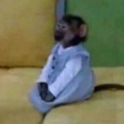 Profile Picture of Xavier Avendaño (@XavierAvendao3) on Twitter