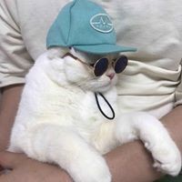 Profile Picture of Ruby Zhang (@ruby-zhang-37) on Quora