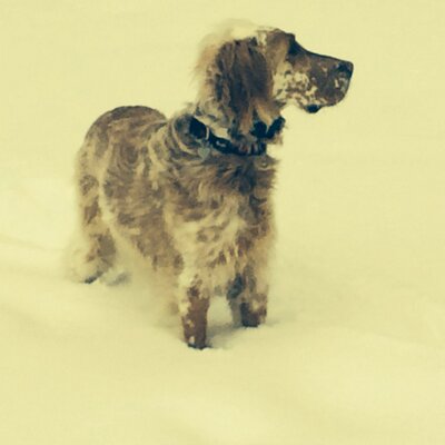 Profile Picture of Mike Bentley (@MikeBentley20) on Twitter